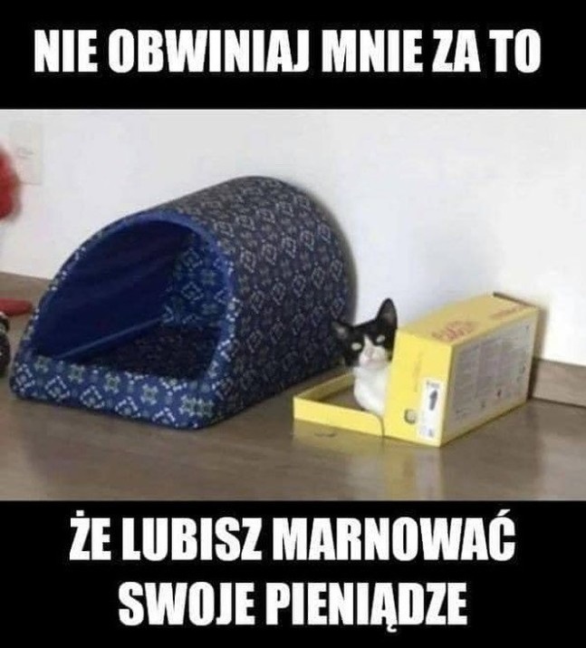 Pudełko najlepsze