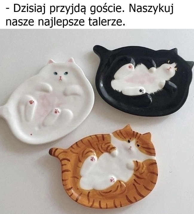 Moje najlepsze talerze - Śmieszne memy