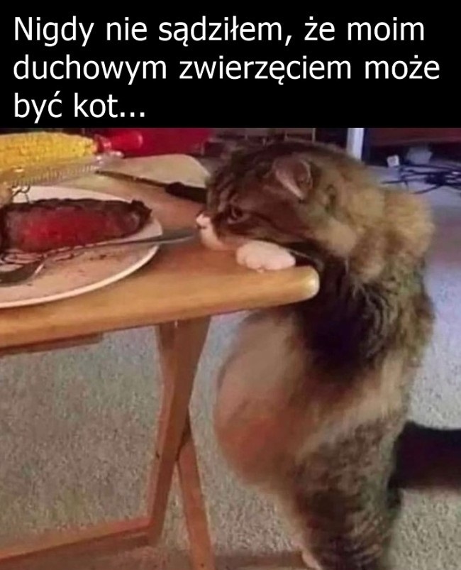 Moje duchowe zwierzę