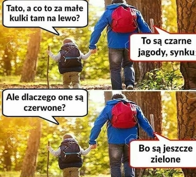 Czarne jagody
