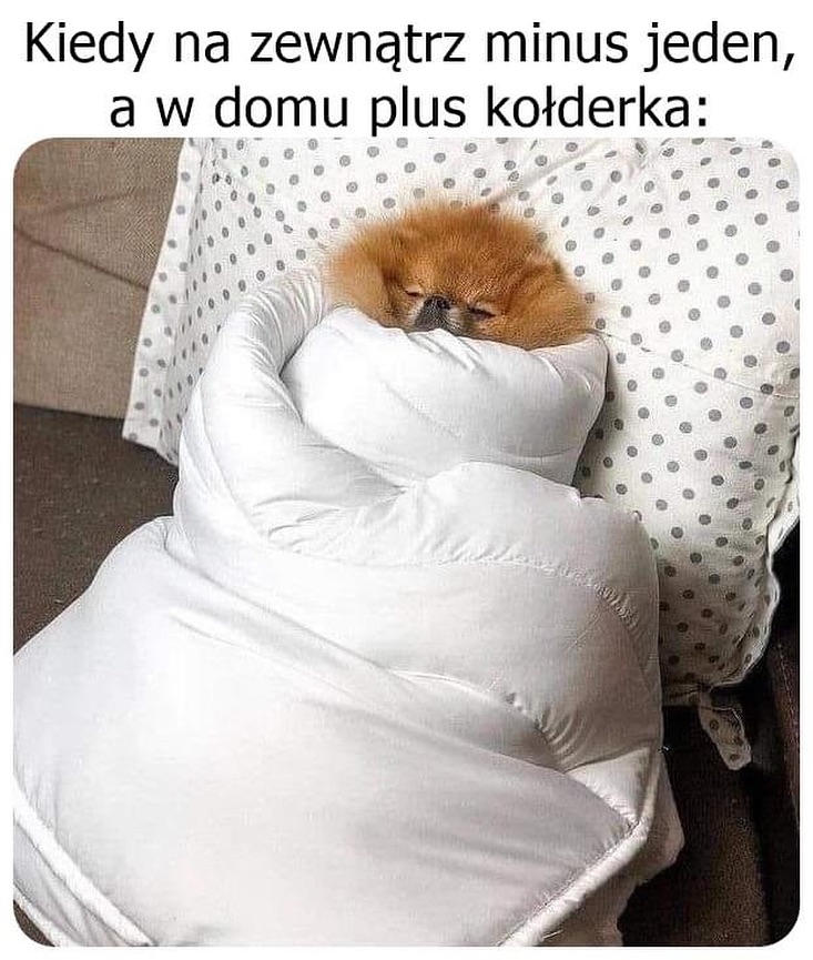 Kołderka rozumie