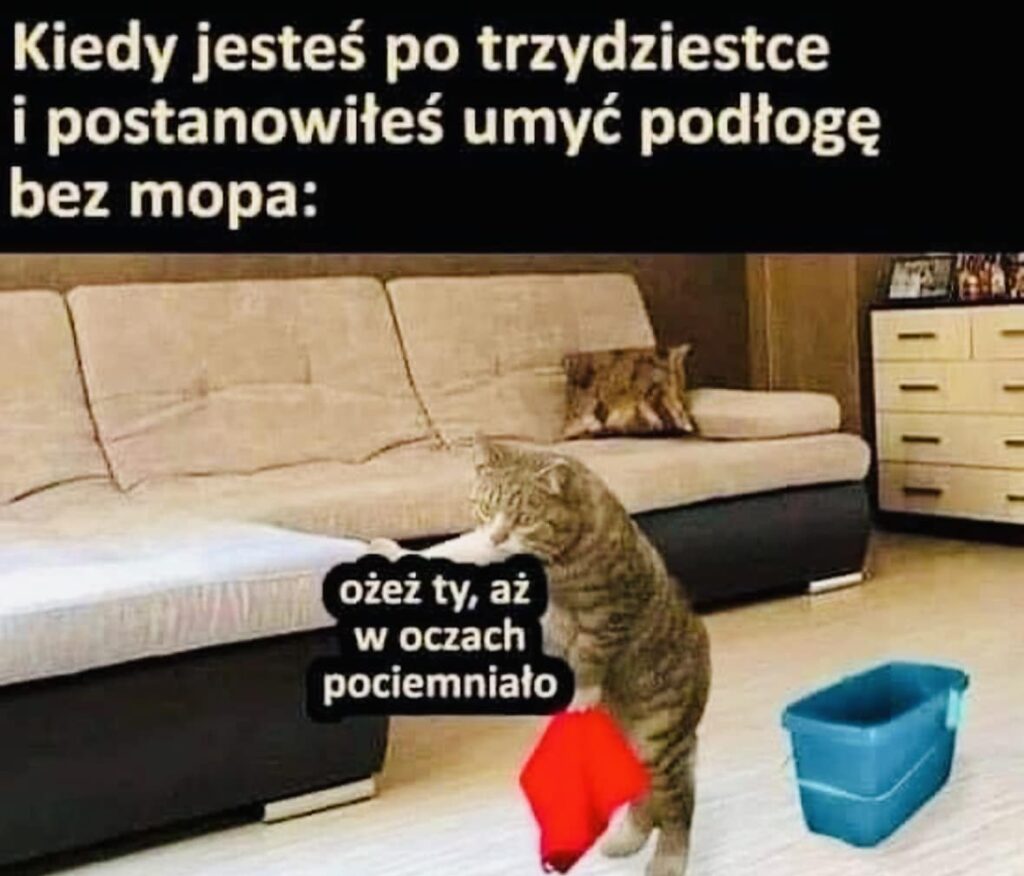 sprzatanie po trzydziestce