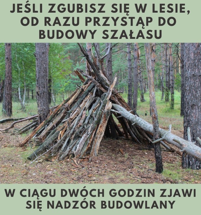 Szałas w lesie