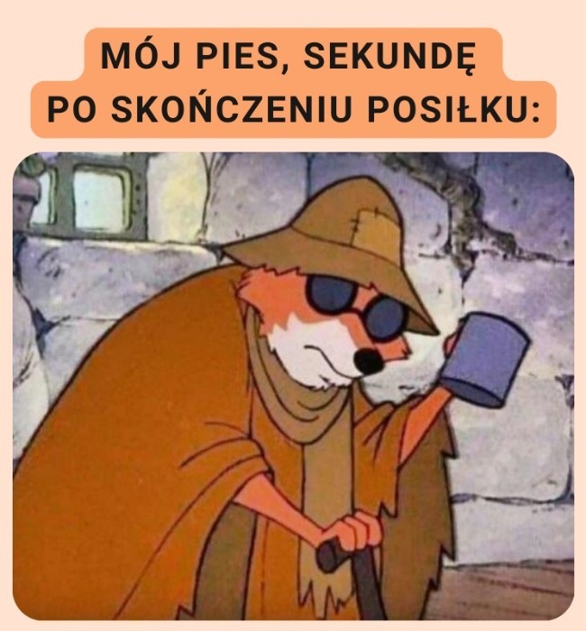 Wiecznie głodny