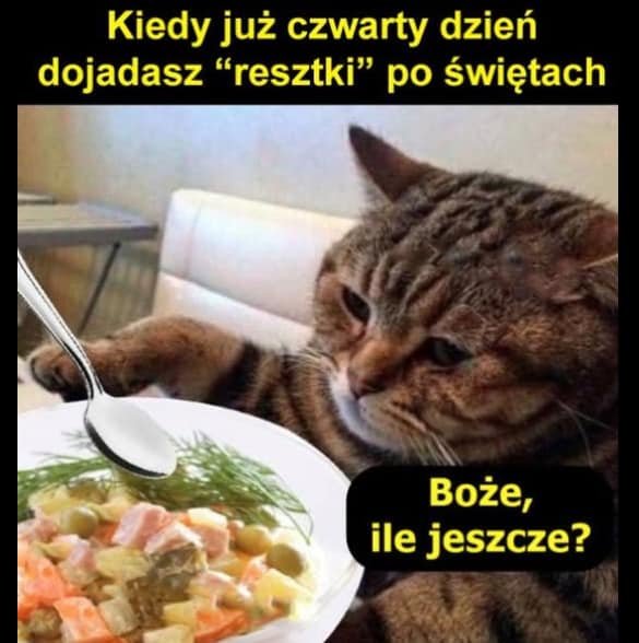 Resztki po świętach