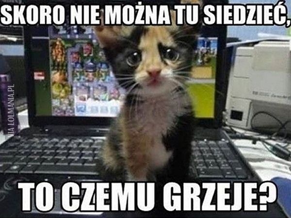 No czemu