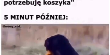 Bez tytulu