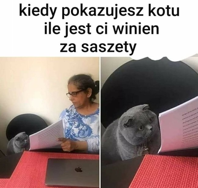 Saszety dla kota