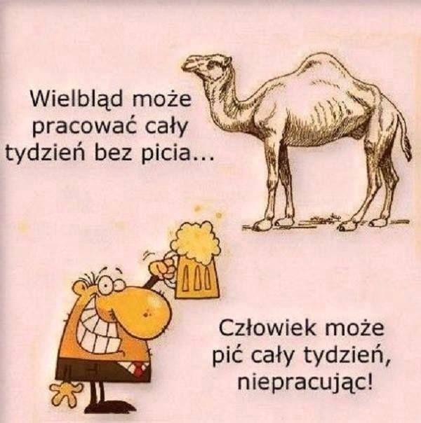 Człowiek a wielbłąd