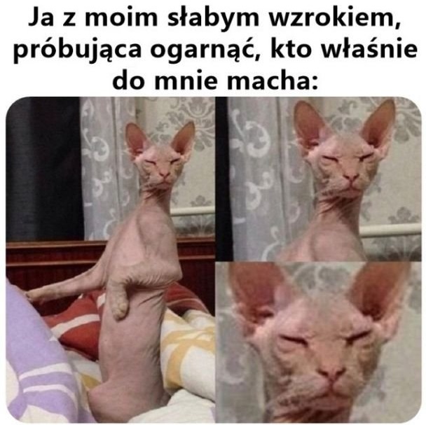 Ja gdy zapomnę okularów