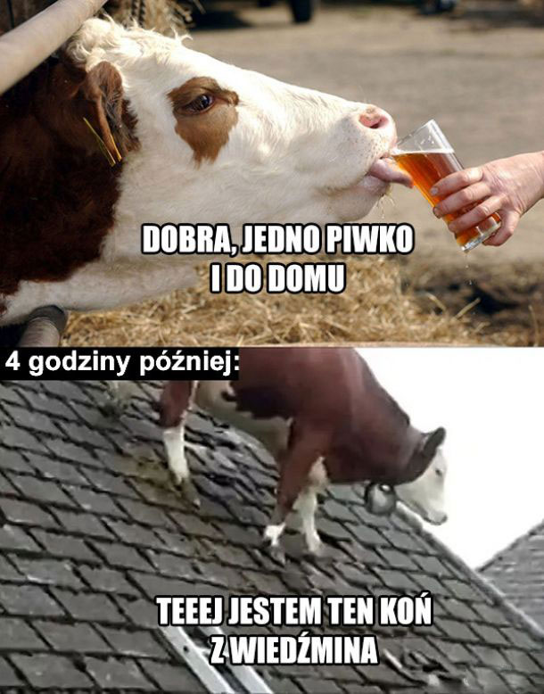 Jedno piwko i do domu