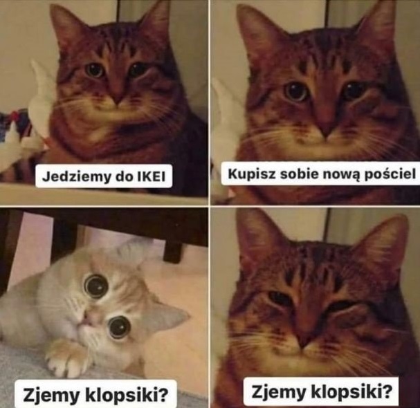 Klopsiki w Ikei