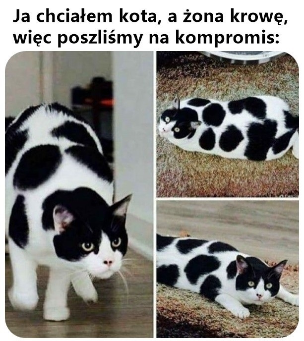 Poszliśmy na kompromis
