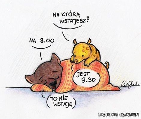 Na którą wstajesz