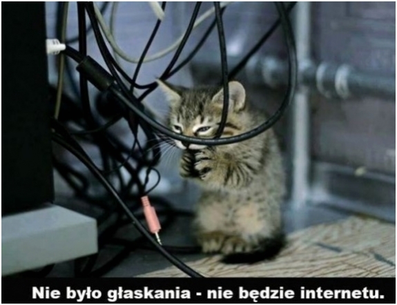 Nie będzie internetu