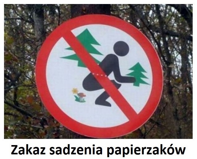 Zakaz sadzenia papierzaków