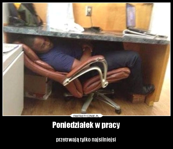 Poniedziałek w pracy