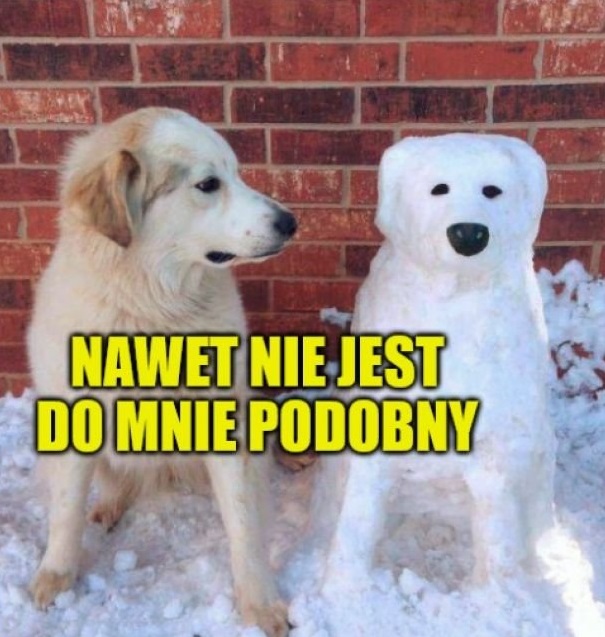 Trochę jest
