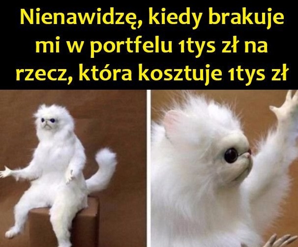 Trochę brakuje