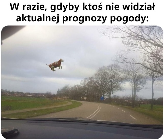 Trochę wieje