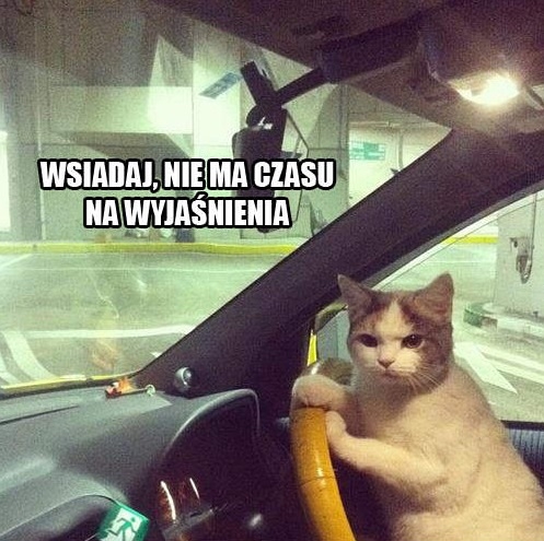Nie ma czasu na wyjaśnienia