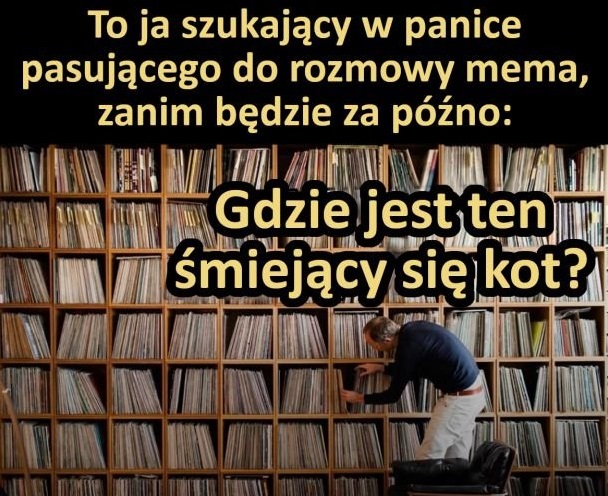 Wyszukiwarka memów